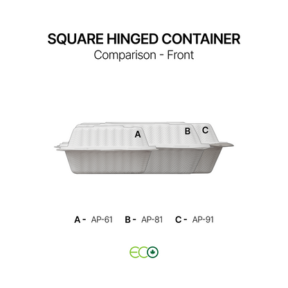 AP Square Hinged Container (6" / 8" / 9")