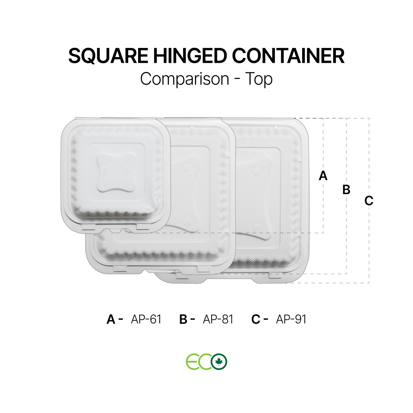 AP Square Hinged Container (6" / 8" / 9")