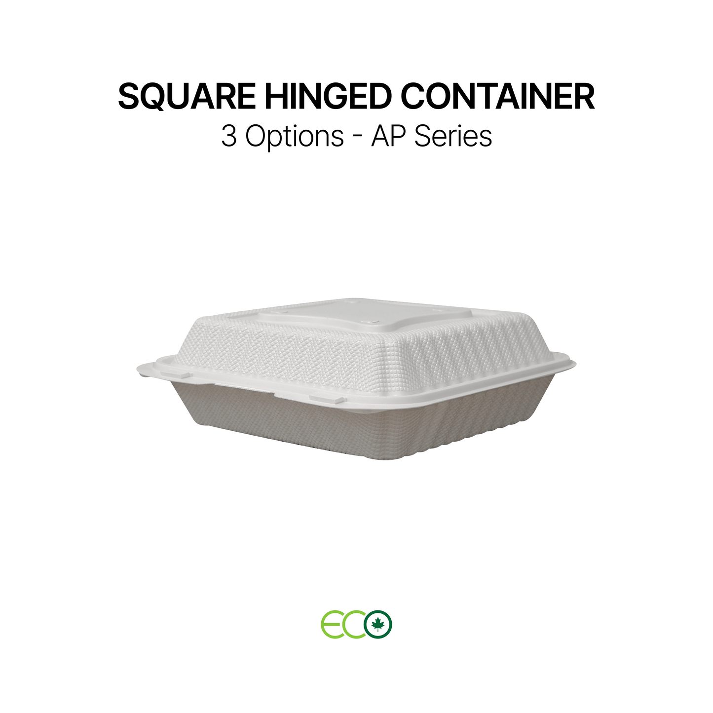 AP Square Hinged Container (6" / 8" / 9")