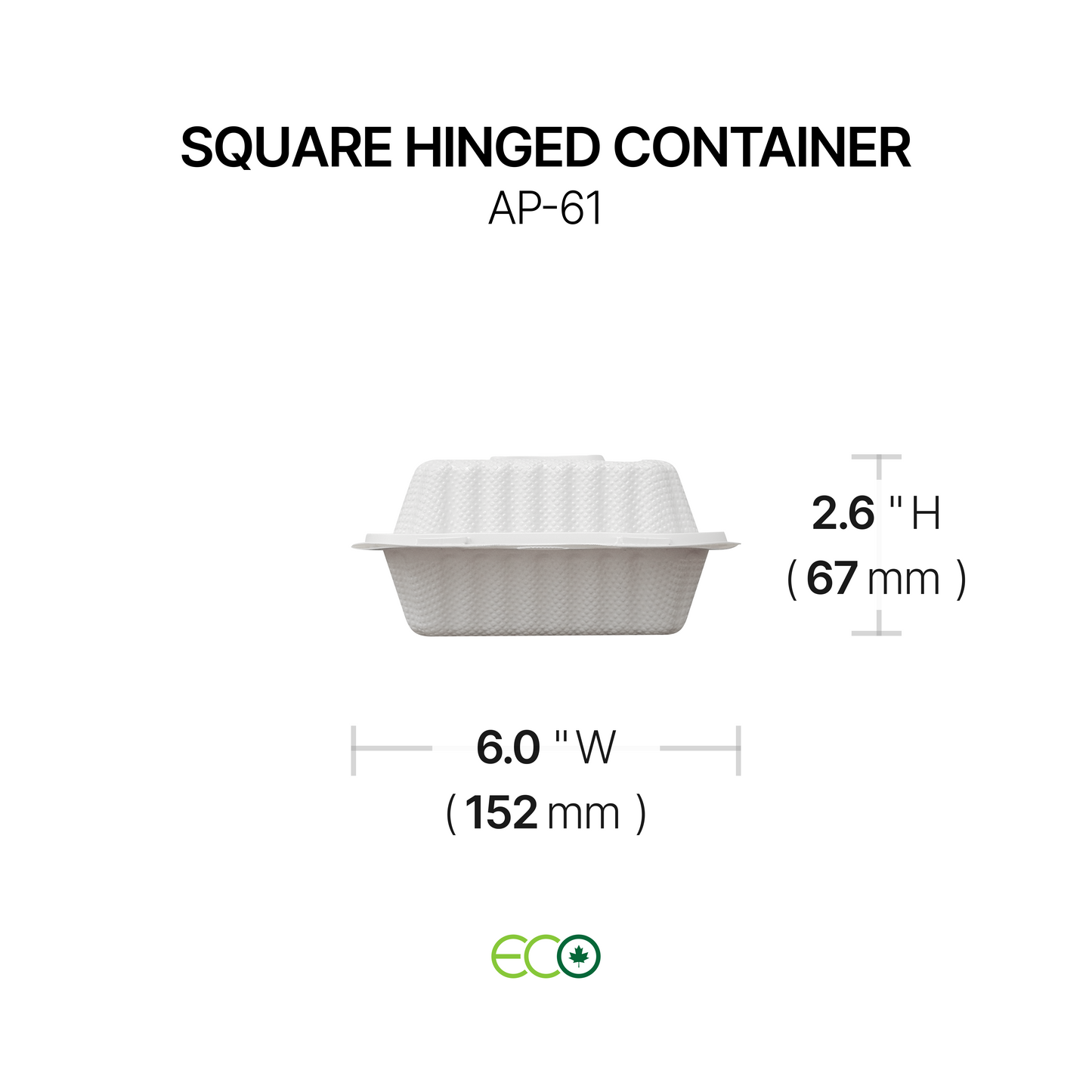 AP Square Hinged Container (6" / 8" / 9")