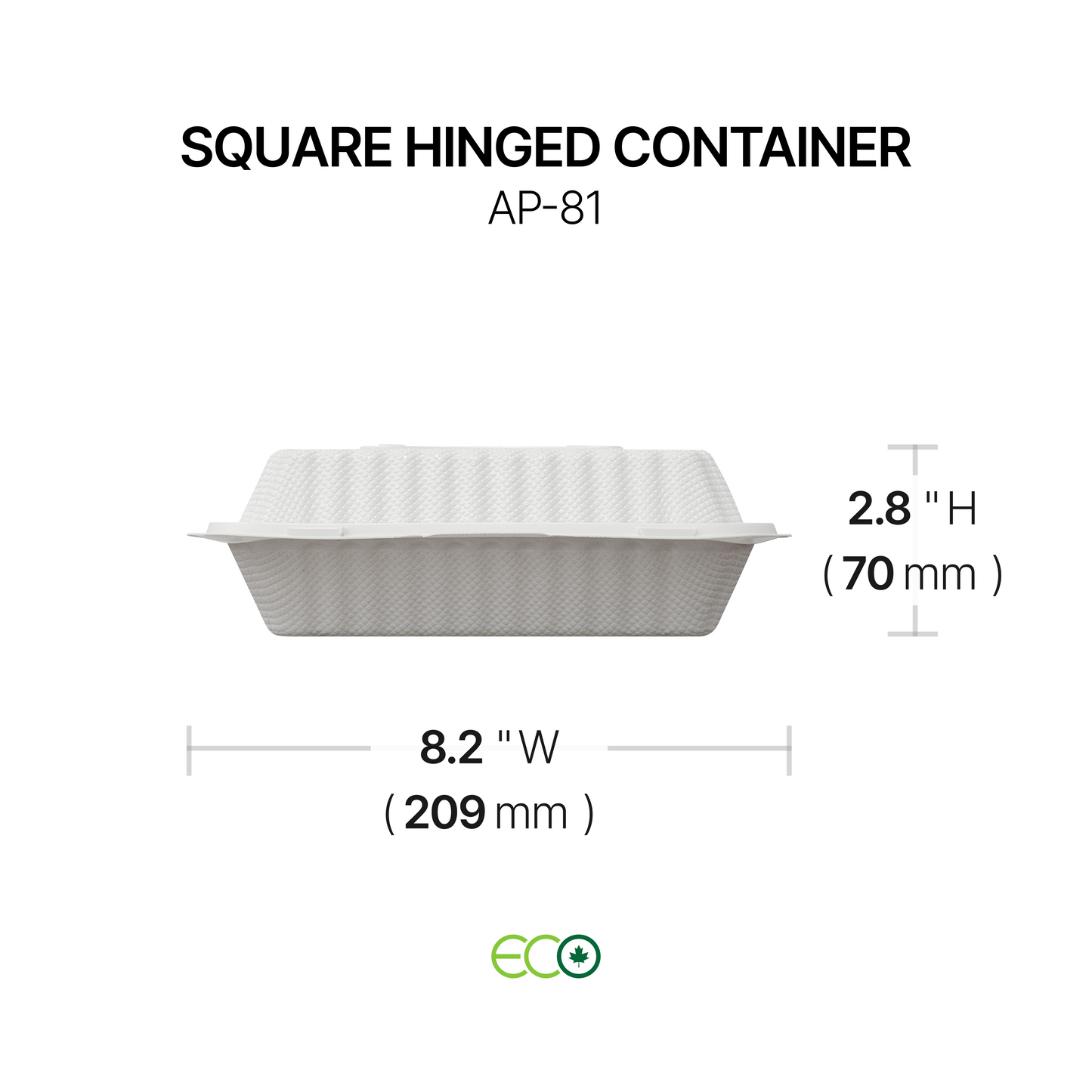 AP Square Hinged Container (6" / 8" / 9")