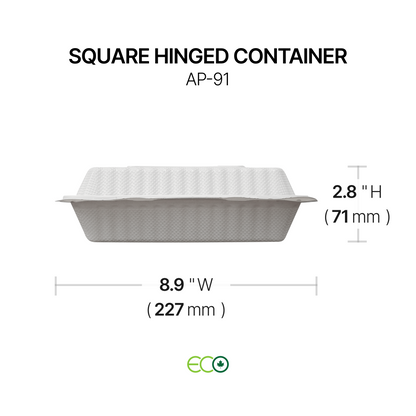AP Square Hinged Container (6" / 8" / 9")