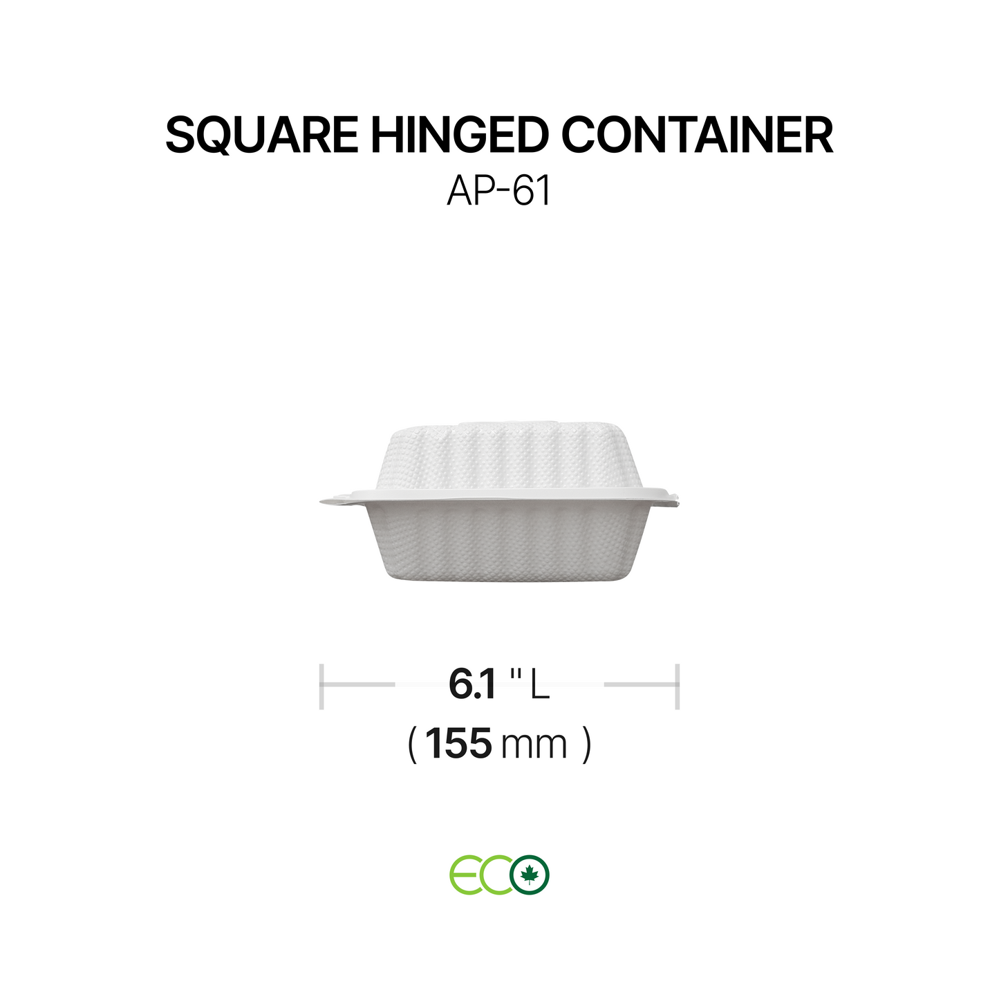 AP Square Hinged Container (6" / 8" / 9")