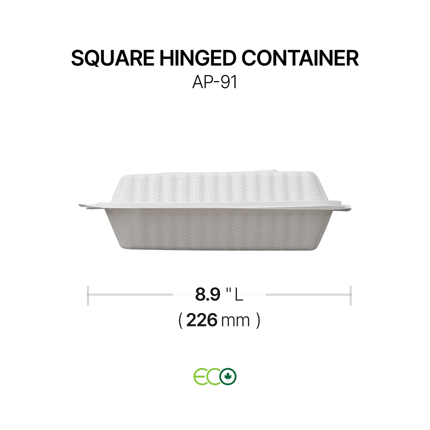 AP Square Hinged Container (6" / 8" / 9")