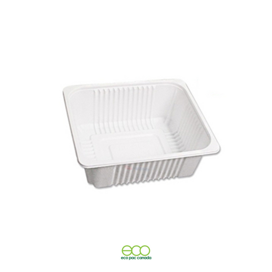 Sealing Container 231911
