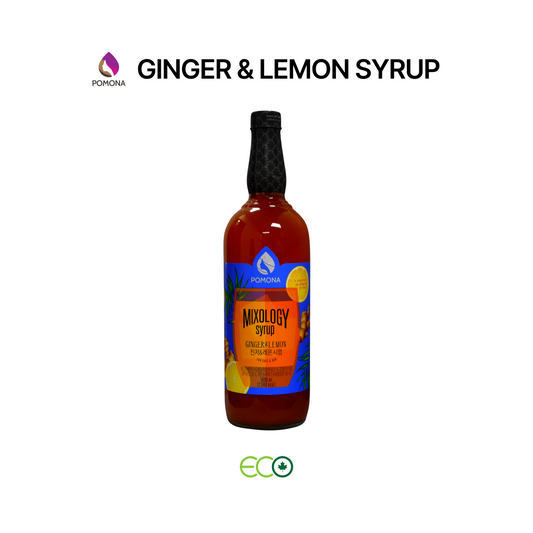 Mixology Ginger & Lemon Syrup