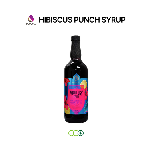 Mixology Hibiscus Punch Syrup
