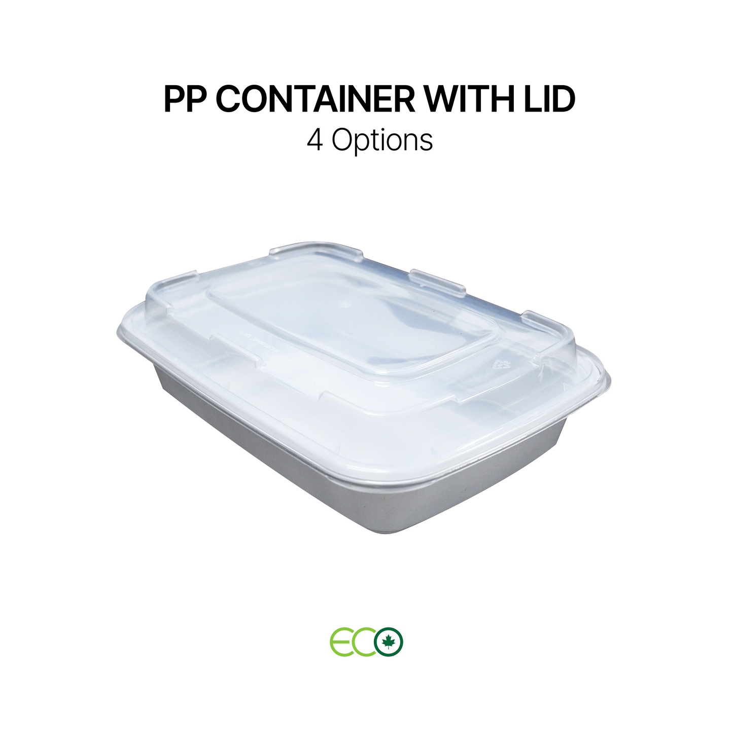 PP Container with Lid (4 Sizes)