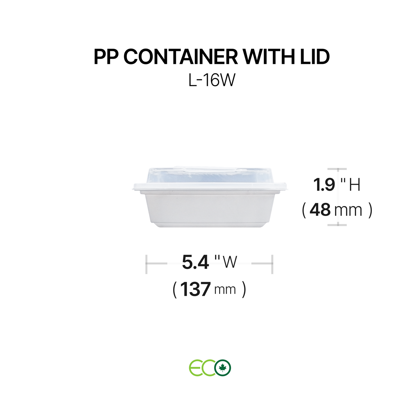 PP Container with Lid (4 Sizes)