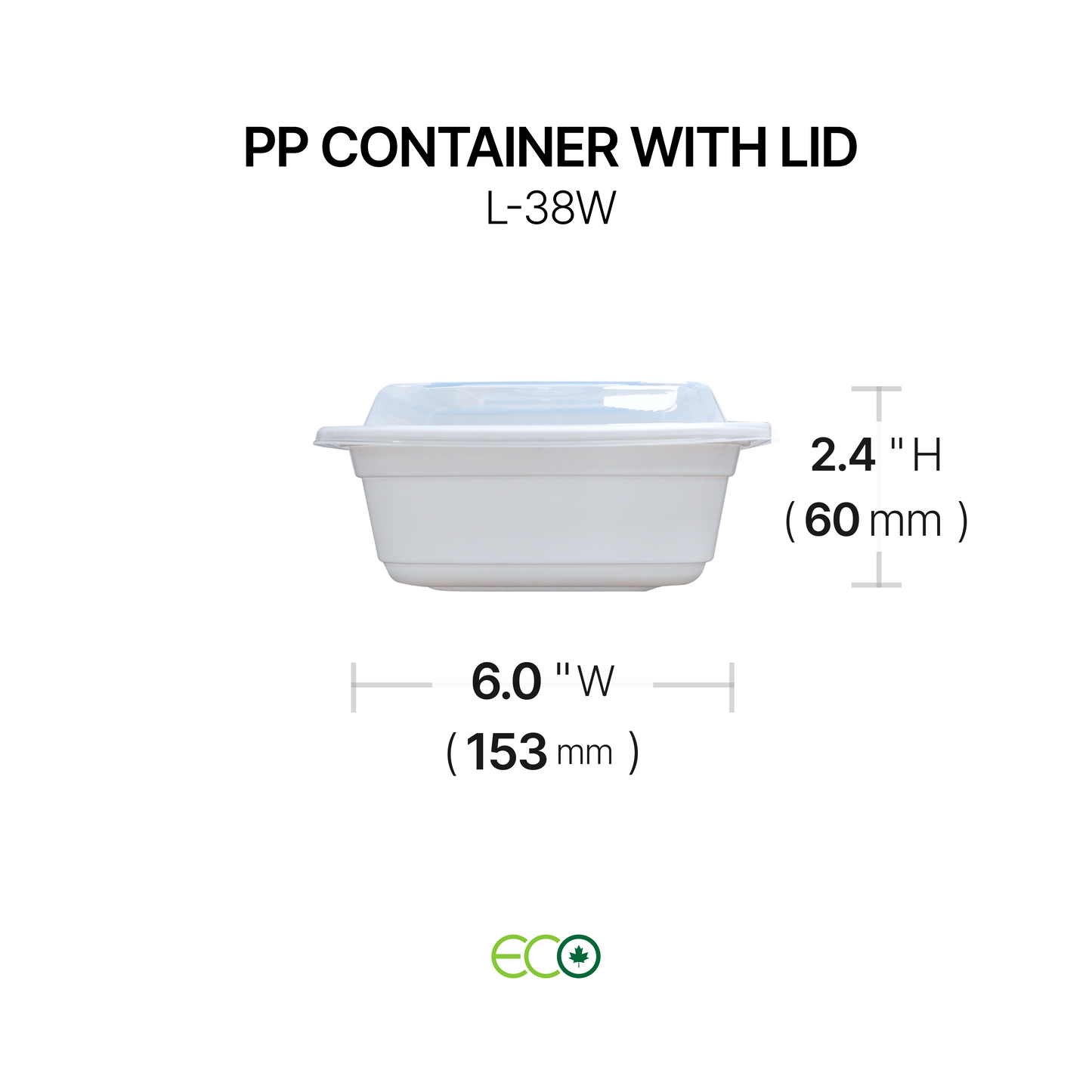 PP Container with Lid (4 Sizes)