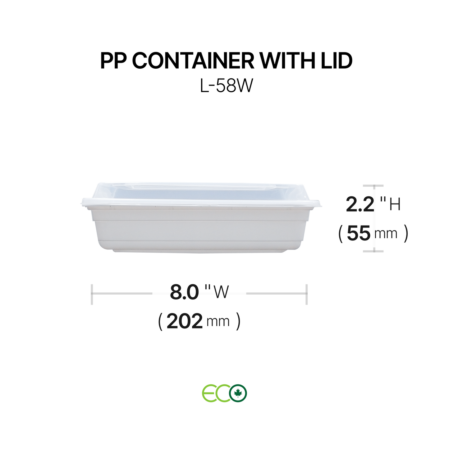 PP Container with Lid (4 Sizes)