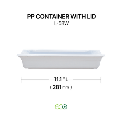 PP Container with Lid (4 Sizes)