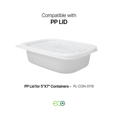 5"X7" Plastic Container (S / M / L / XL)