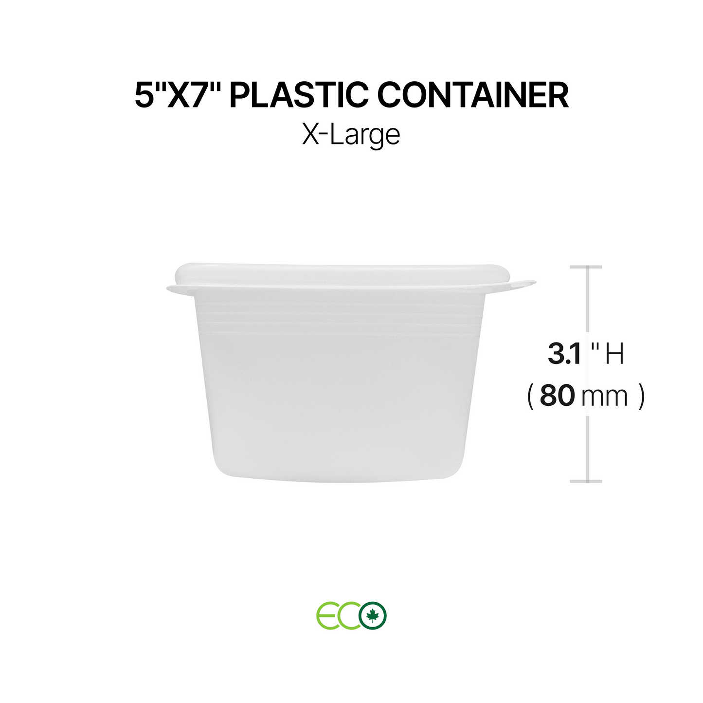 5"X7" Plastic Container (S / M / L / XL)